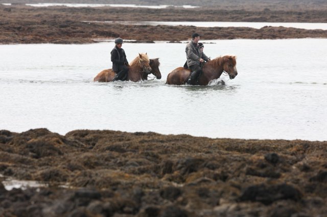 Baðtúr 2008