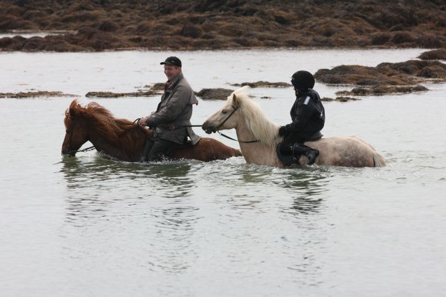 Baðtúr 2008