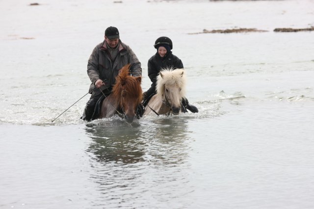 Baðtúr 2008