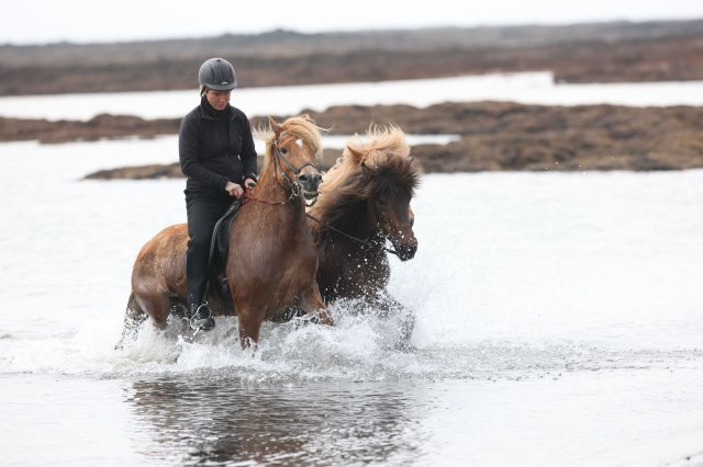 Baðtúr 2008