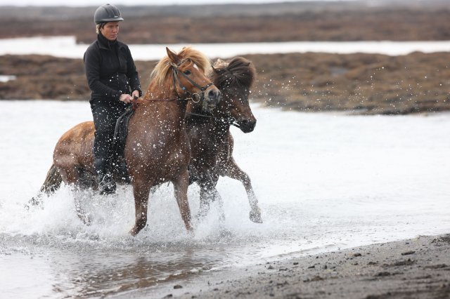 Baðtúr 2008