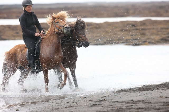 Baðtúr 2008