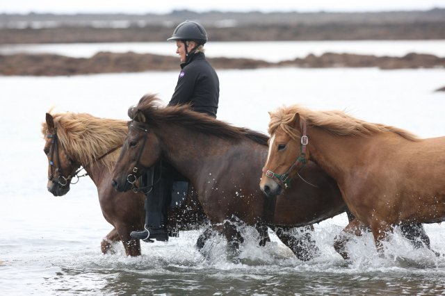 Baðtúr 2008