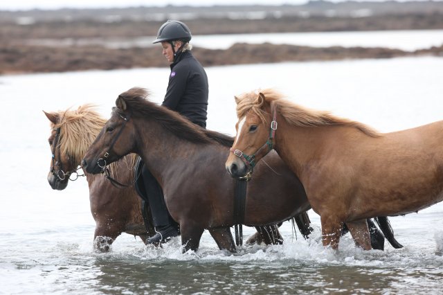 Baðtúr 2008