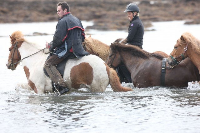 Baðtúr 2008