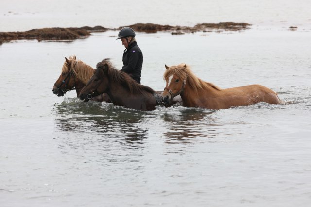 Baðtúr 2008