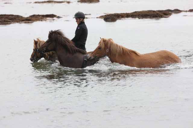 Baðtúr 2008