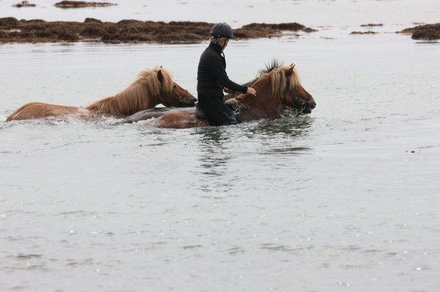 Baðtúr 2008