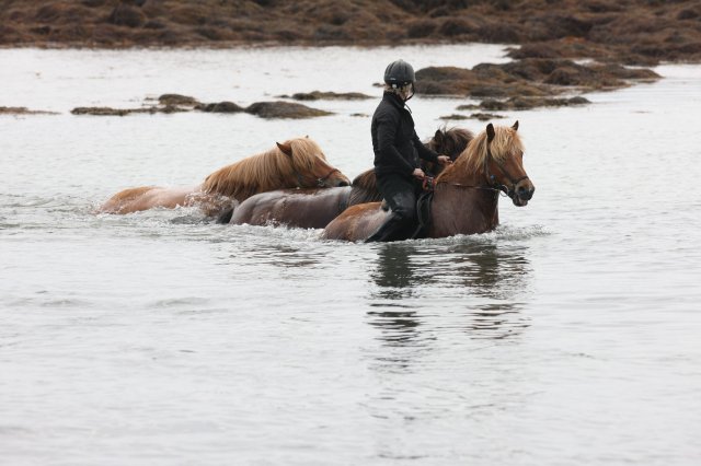 Baðtúr 2008