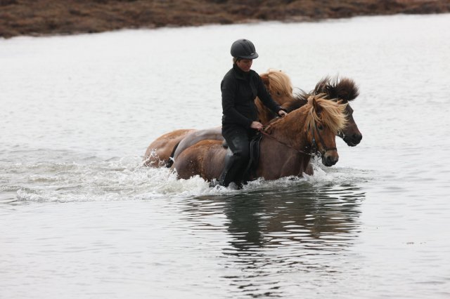 Baðtúr 2008