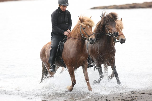 Baðtúr 2008