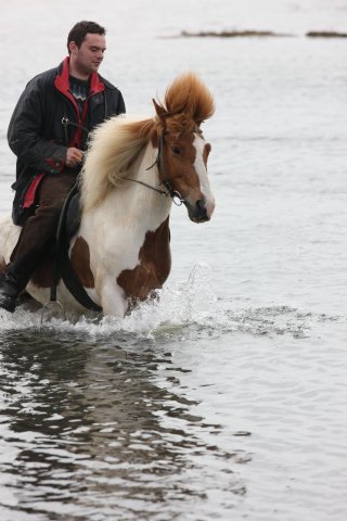 Baðtúr 2008