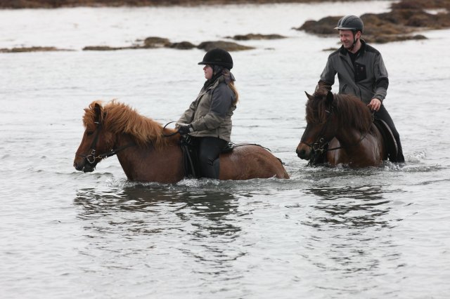 Baðtúr 2008