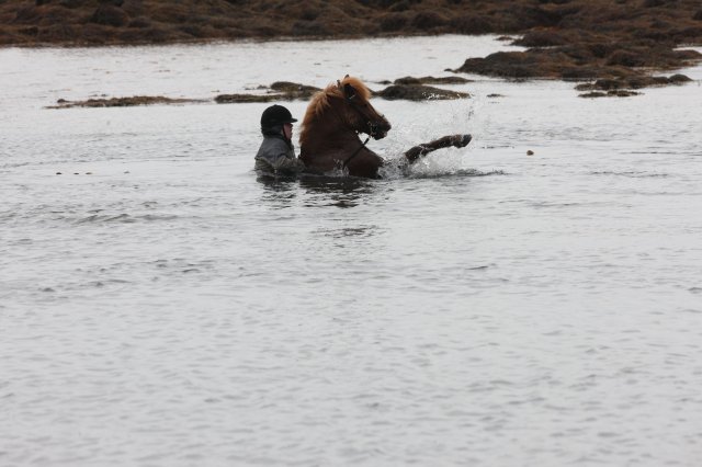 Baðtúr 2008