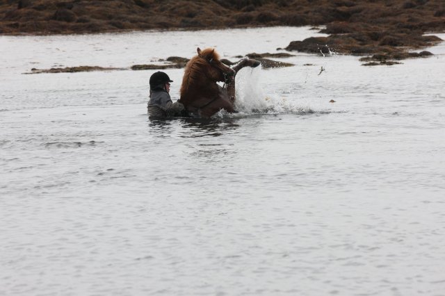 Baðtúr 2008