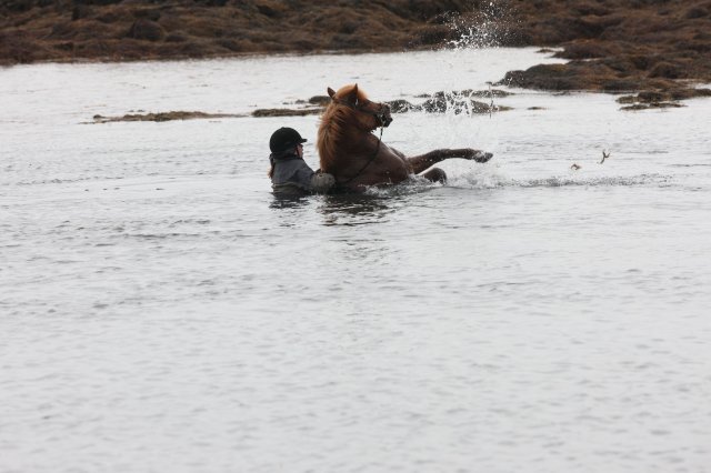 Baðtúr 2008