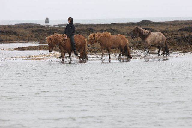 Baðtúr 2008