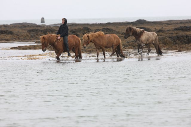 Baðtúr 2008