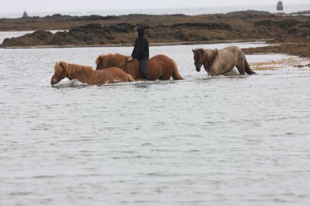 Baðtúr 2008