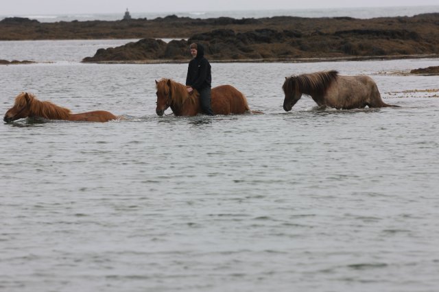 Baðtúr 2008