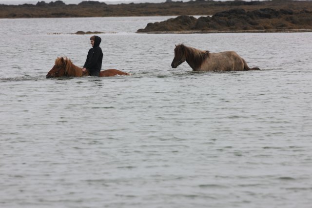 Baðtúr 2008