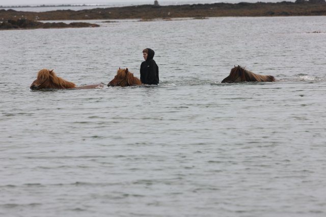 Baðtúr 2008