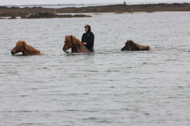 Baðtúr 2008