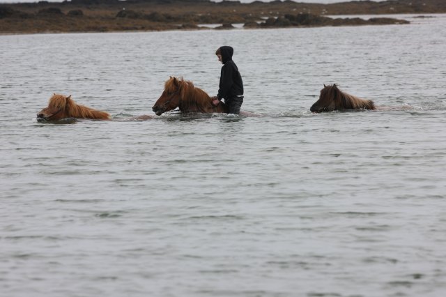 Baðtúr 2008