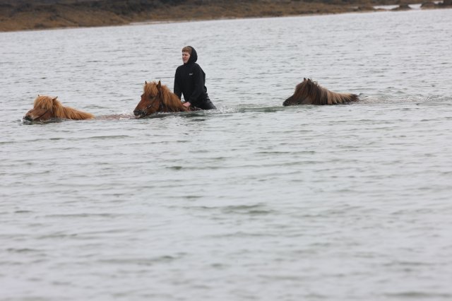 Baðtúr 2008