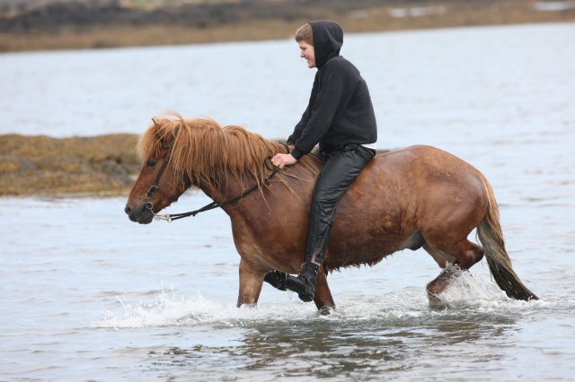 Baðtúr 2008