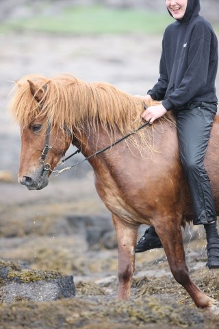 Baðtúr 2008