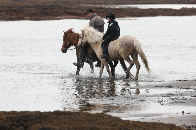 Baðtúr 2008