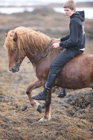 Baðtúr 2008