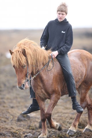 Baðtúr 2008