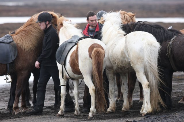 Baðtúr 2008