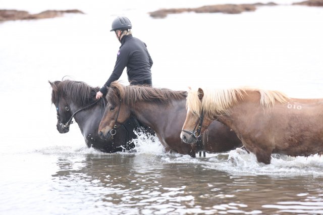 Baðtúr 2008