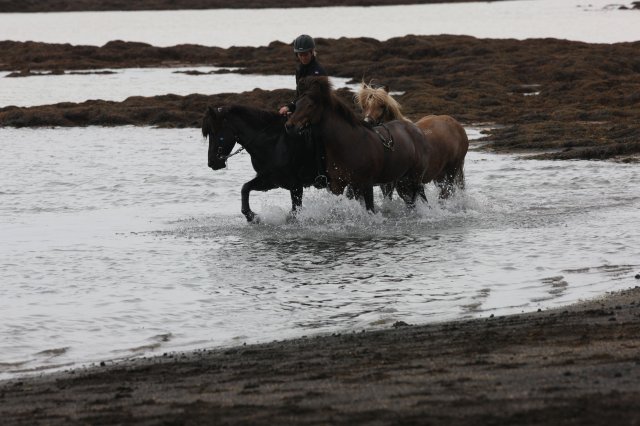 Baðtúr 2008