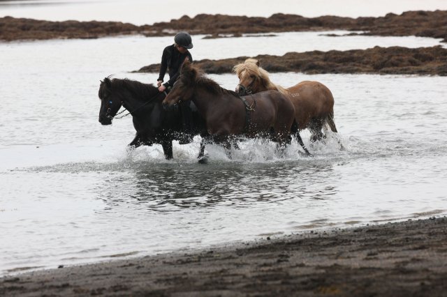 Baðtúr 2008