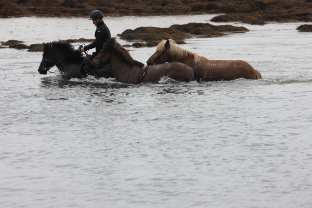 Baðtúr 2008