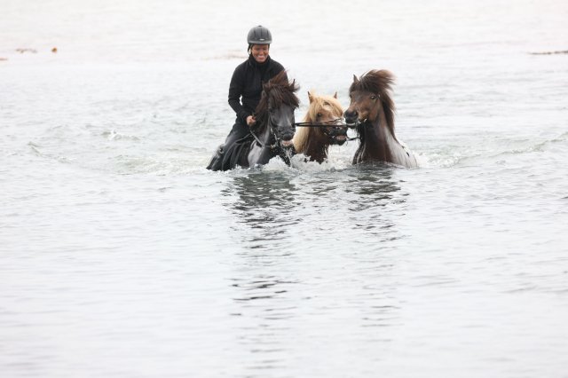 Baðtúr 2008