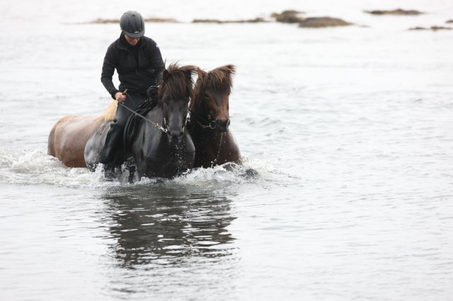 Baðtúr 2008