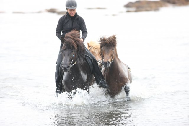 Baðtúr 2008