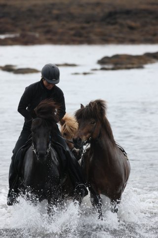 Baðtúr 2008