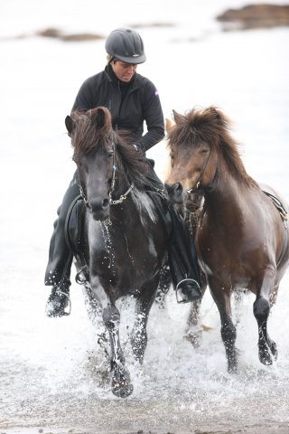 Baðtúr 2008