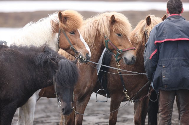 Baðtúr 2008