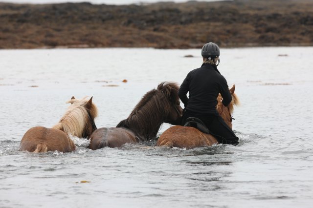 Baðtúr 2008