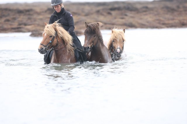 Baðtúr 2008