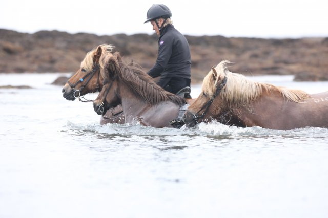 Baðtúr 2008