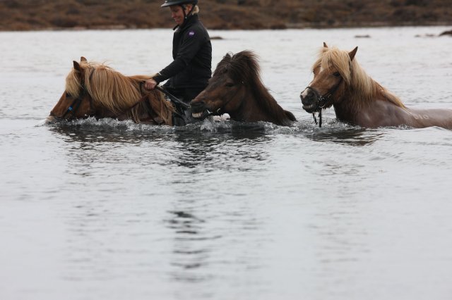 Baðtúr 2008