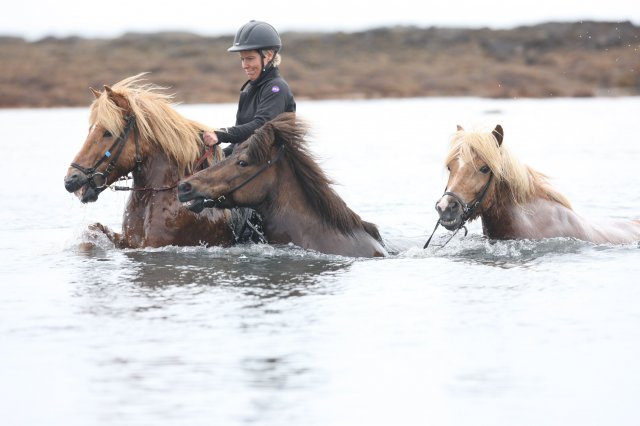 Baðtúr 2008